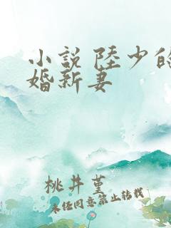小说 陆少的暖婚新妻