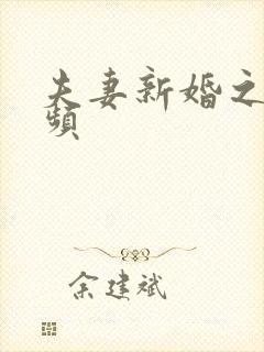 夫妻新婚之夜视频