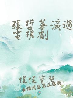 张哲华演过哪些电视剧
