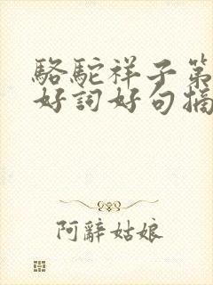 骆驼祥子第3章好词好句摘抄