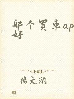 哪个买车app好