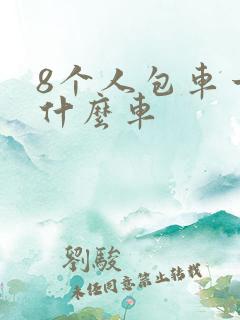 8个人包车一般什么车
