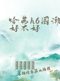 哈弗h6国潮版好不好
