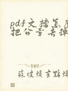 pdf文档怎么把公章去掉啊
