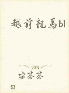 越前龙马bl