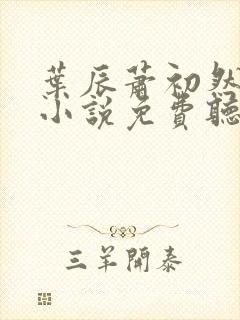 叶辰萧初然有声小说免费听