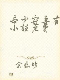 帝少宠妻有点甜小说免费