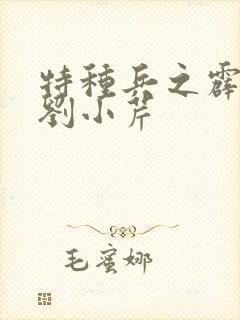 特种兵之霹雳火刘小芹