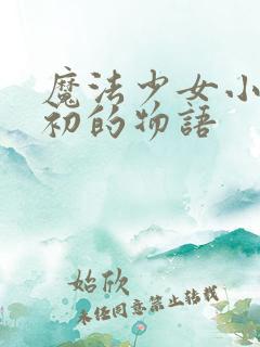 魔法少女小圆最初的物语