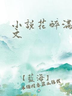 小说花醉满堂全文