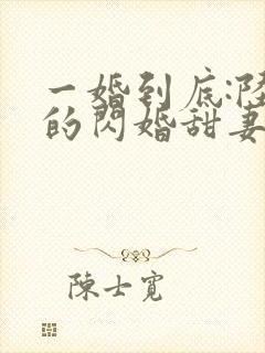 一婚到底:陆少的闪婚甜妻
