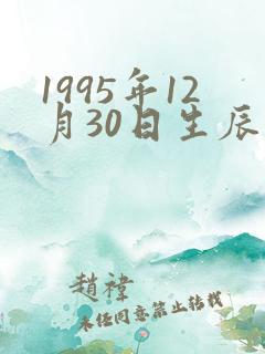 1995年12月30日生辰八字
