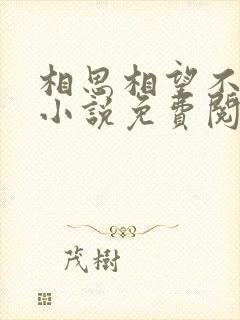 相思相望不相负小说免费阅读全文