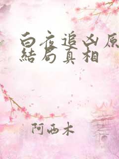 白夜追凶原著大结局真相