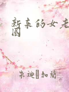 新来的女老师韩国