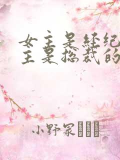 女主是经纪人男主是总裁的小说