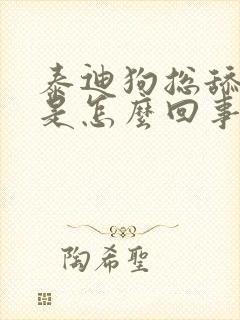 泰迪狗总舔爪子是怎么回事