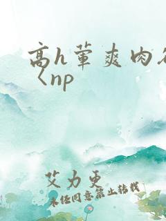 高h荤爽肉欲文〈np