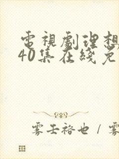 电视剧理想之城40集在线免费观看