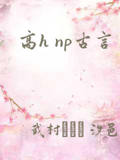 高h np古言