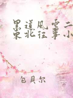 黑道风云二十年东北往事小说