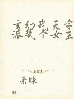 玄幻我天命大反派几个女主