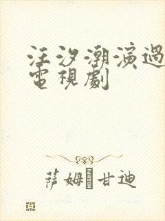 汪汐潮演过哪些电视剧