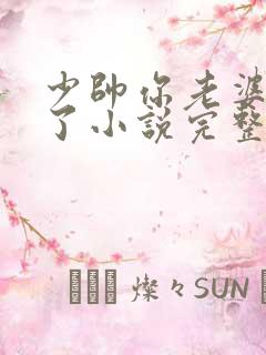 少帅你老婆又跑了小说完整免费