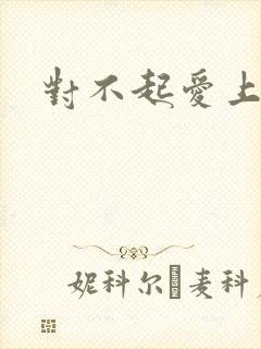 对不起爱上你