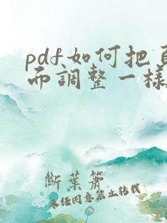 pdf如何把页面调整一样大小