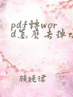 pdf转word怎么去掉水印