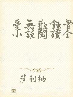 爱无欢蚀骨惊情小说阅读全部