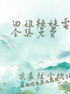 田姐辣妹电视剧全集免费