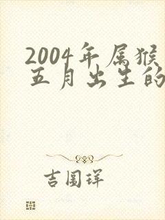 2004年属猴五月出生的人命运