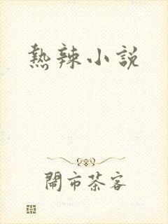 热辣小说