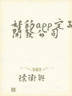 好的app定制开发公司