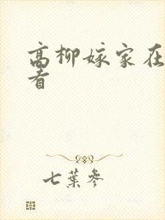 高柳嫁家在线观看