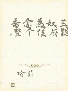 乔念为奴三年后,整个侯府跪求原谅小说全文