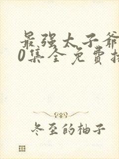 最强太子爷200集全免费播放