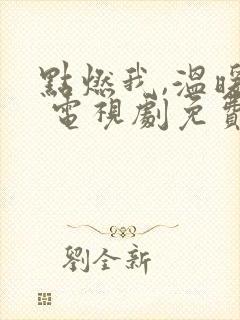 点燃我,温暖你 电视剧免费