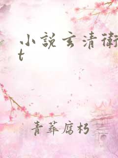 小说玄清卫txt