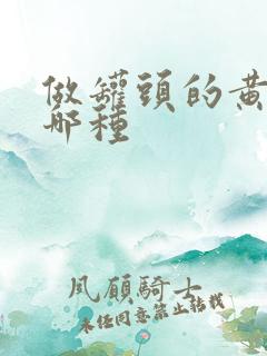 做罐头的黄桃是哪种