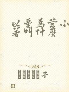以爱为营小说原著叫什么