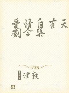 爱情自有天意短剧合集