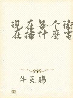 现在各个卫视都在播什么电视剧