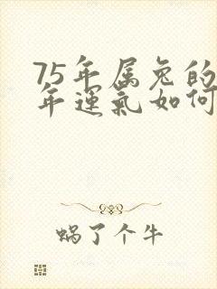 75年属兔的今年运气如何