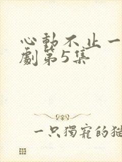 心动不止一刻短剧第5集