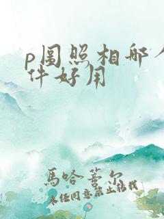 p图照相哪个软件好用