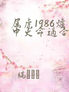 属虎1986炉中火命适合做什么生意