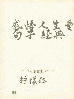 感悟人生爱情的句子 经典